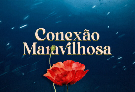 Conexão Maravilhosa