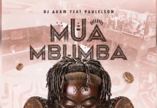 Paulelson & Dj Aka M - MUAMBUMBA