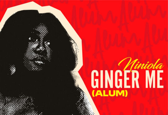 Niniola - Ginger Me (Alum)