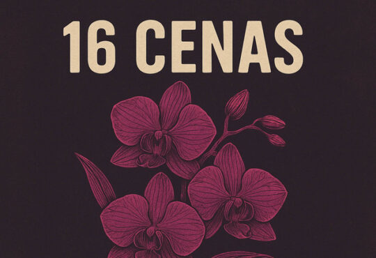 16 Cenas - Orquídeas