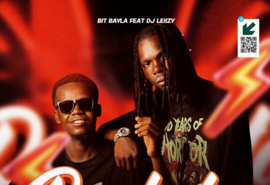 Bit Bayla - Punheta (feat. Dj Leiizy)