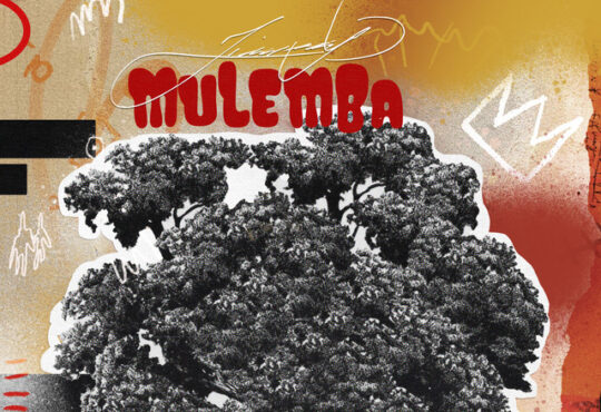 Jimmy P - Mulemba