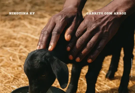 Nikotina KF - Arroz Com Cabrito (Freestyle)