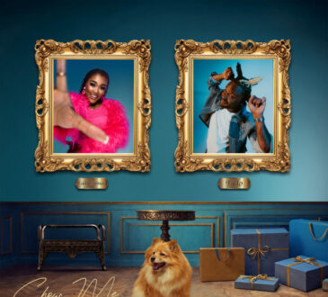 Lady Zamar - Show me ( feat. Fido )