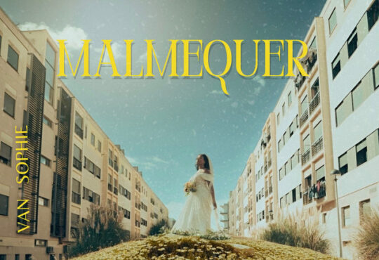 Van Sophie - Malmequer
