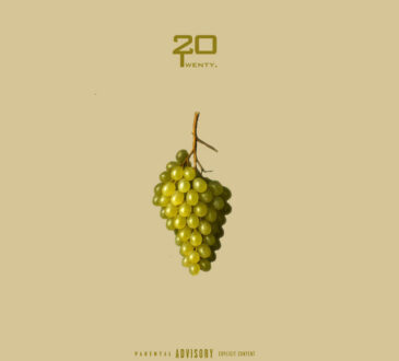 Twenty20 - UVAS CHARDONNAY