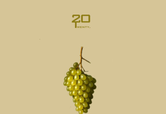 Twenty20 - UVAS CHARDONNAY