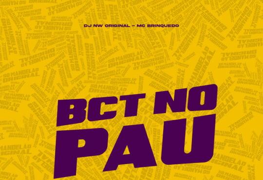 Mc Brinquedo - BCT no Pau (feat. DJ NW Original)