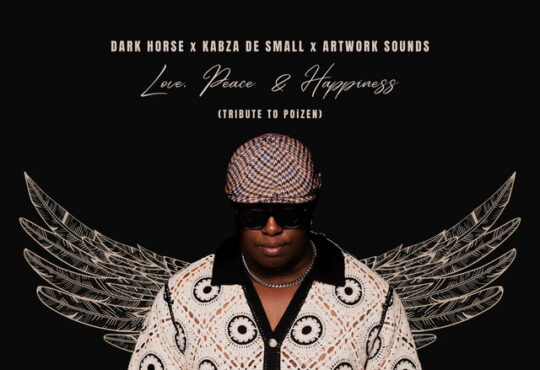 Dark Horse - Love, Peace & Happiness (feat. Kabza De Small & Artwork Sounds)