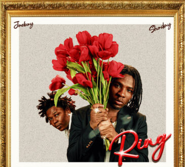 Joeboy - Ring